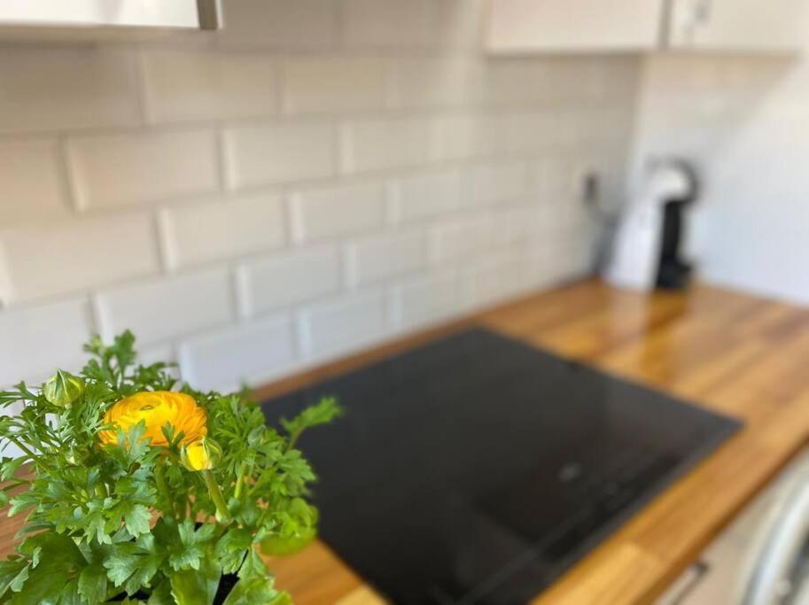 Apartamento Centrico-Parking Gratuito-Wifi Santander Extérieur photo